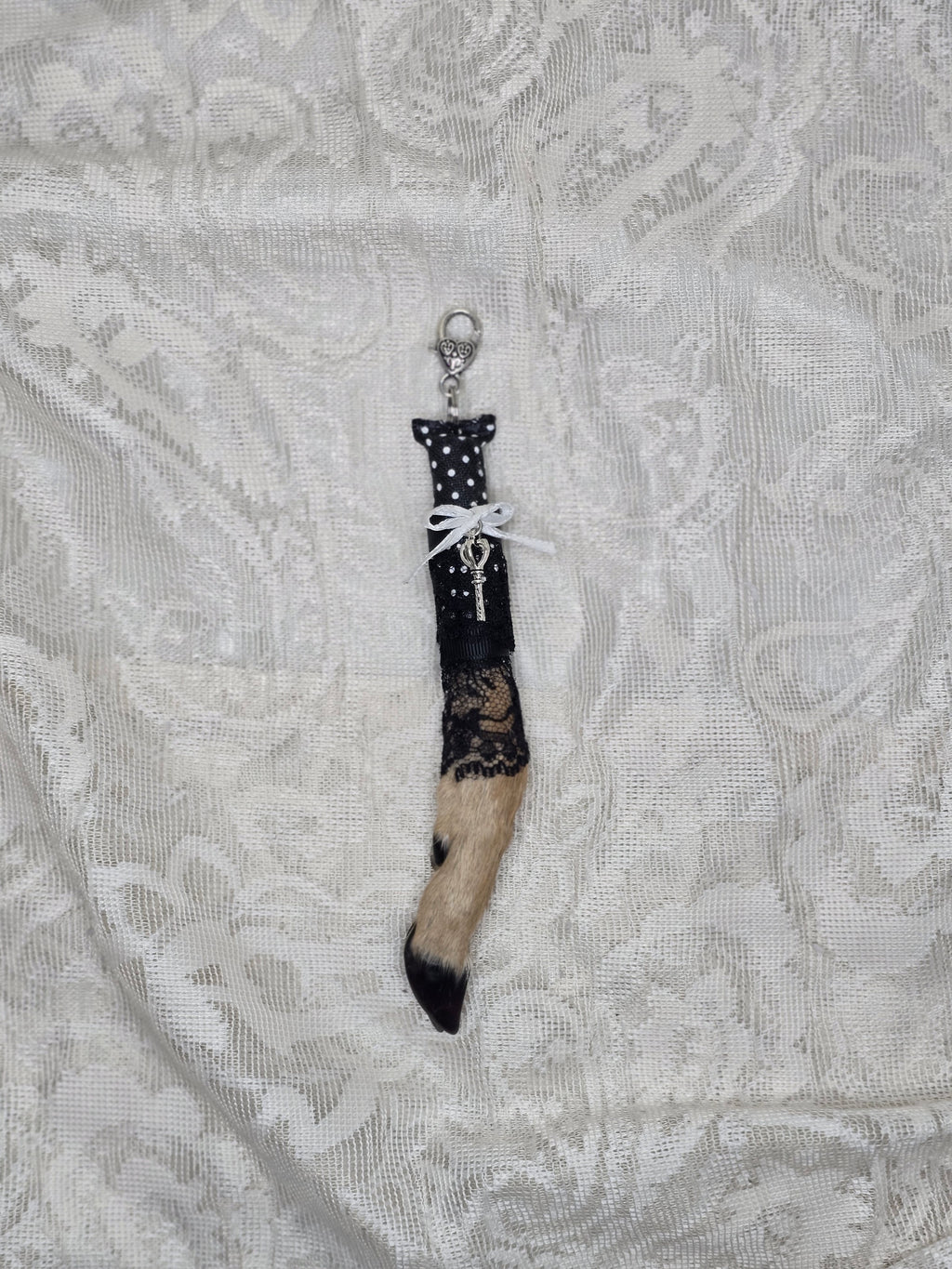 Mummified Fawn Foot Keychain