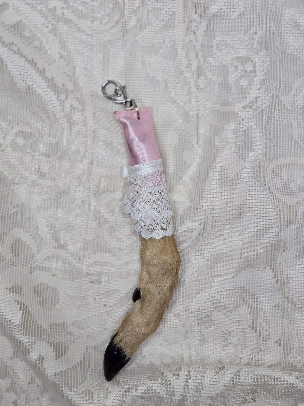 Mummified Fawn Foot Keychain