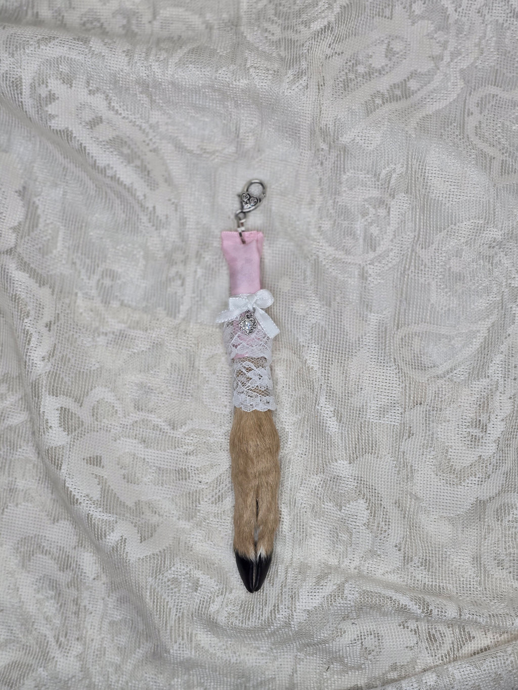 Mummified Fawn Foot Keychain