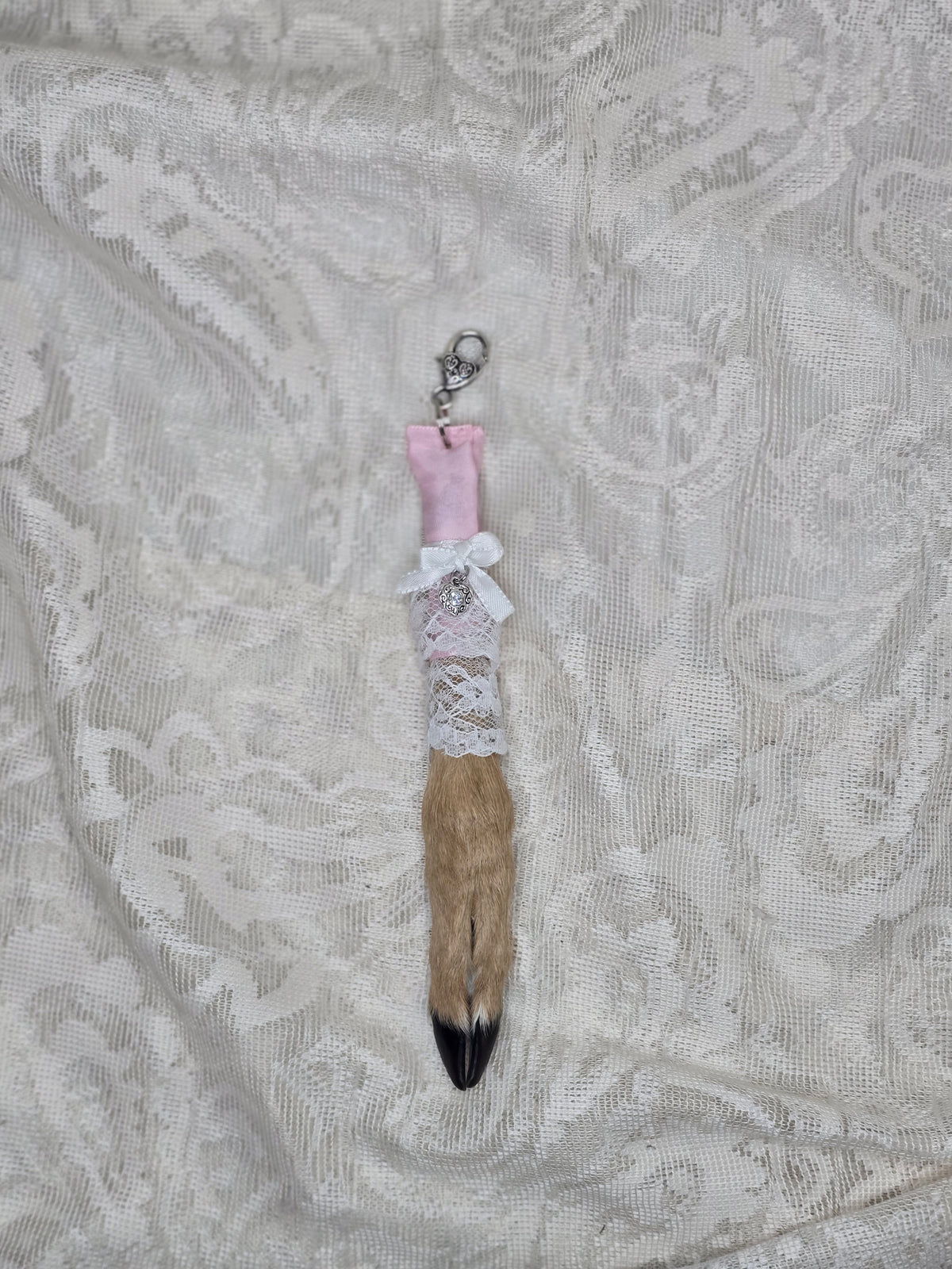 Mummified Fawn Foot Keychain