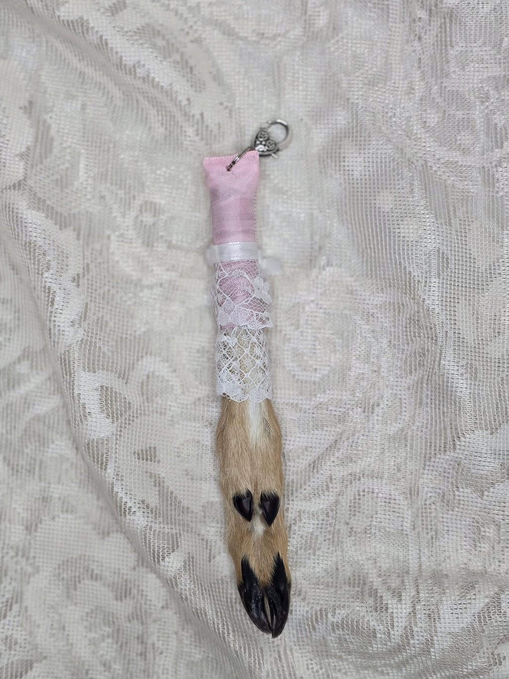 Mummified Fawn Foot Keychain