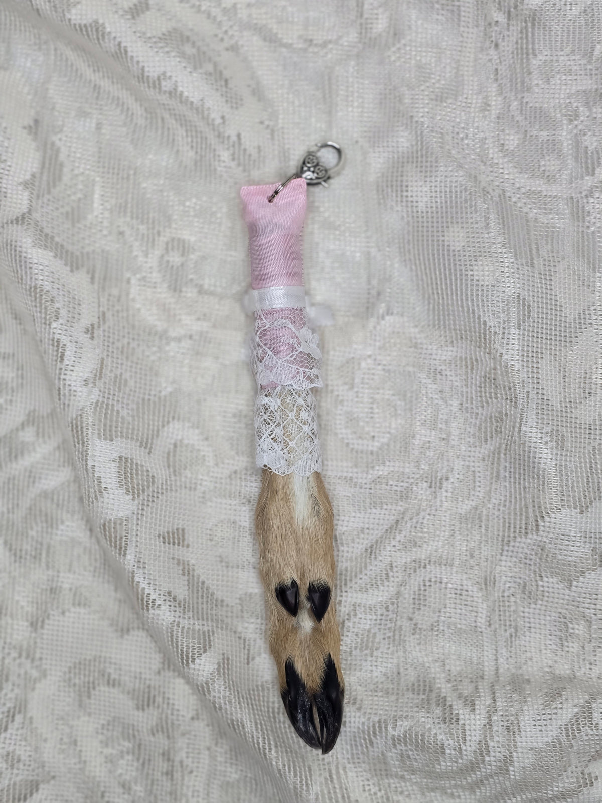 Mummified Fawn Foot Keychain