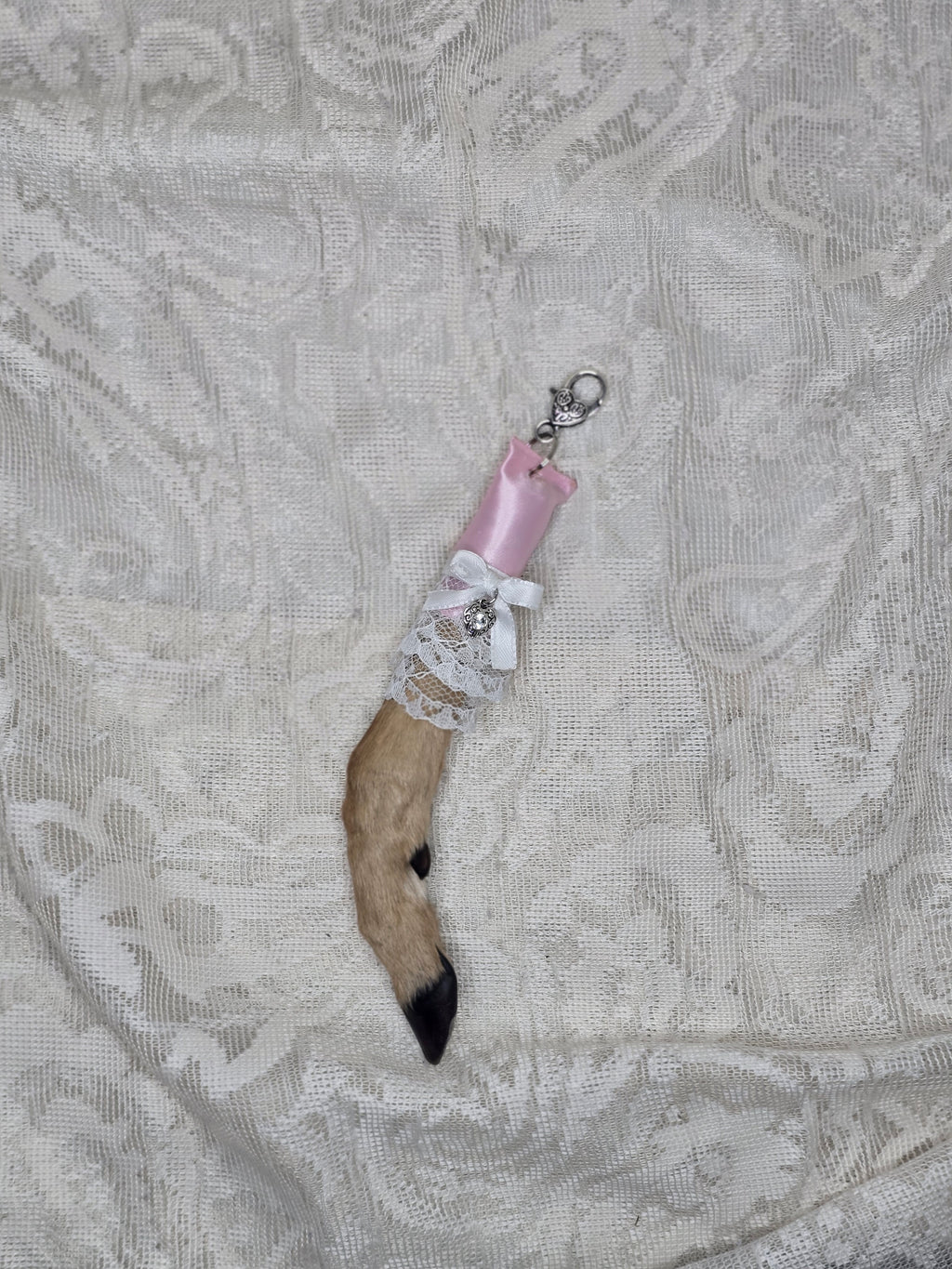 Mummified Fawn Foot Keychain