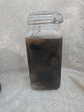 Lionhead Bunny Wet Specimen (PRE-CLAIM)